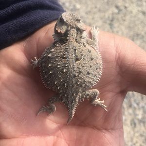 Meet your Posher, Jeffrey